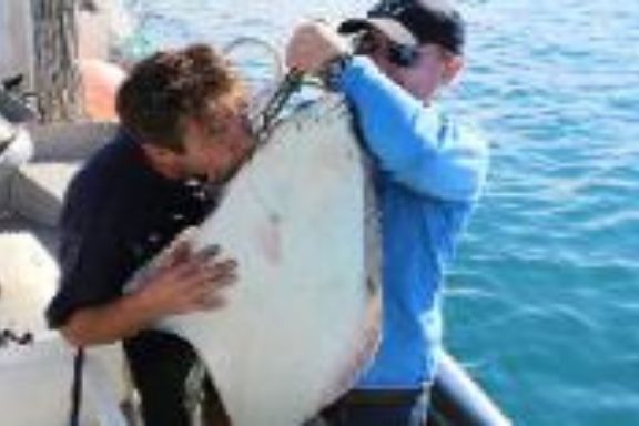 European Travels & Fishing