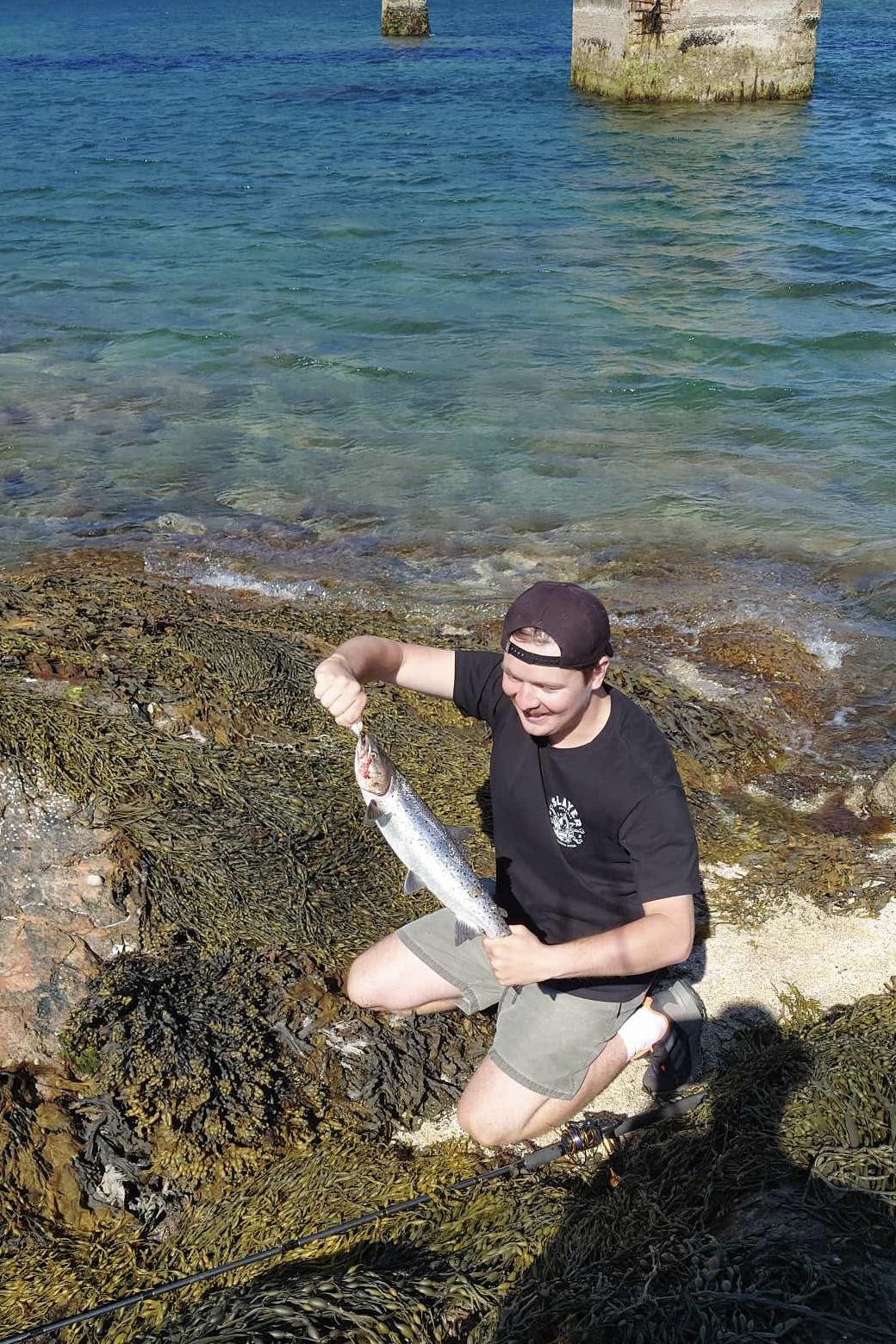 c8daec1f52a1566ee898eadf7fb80930