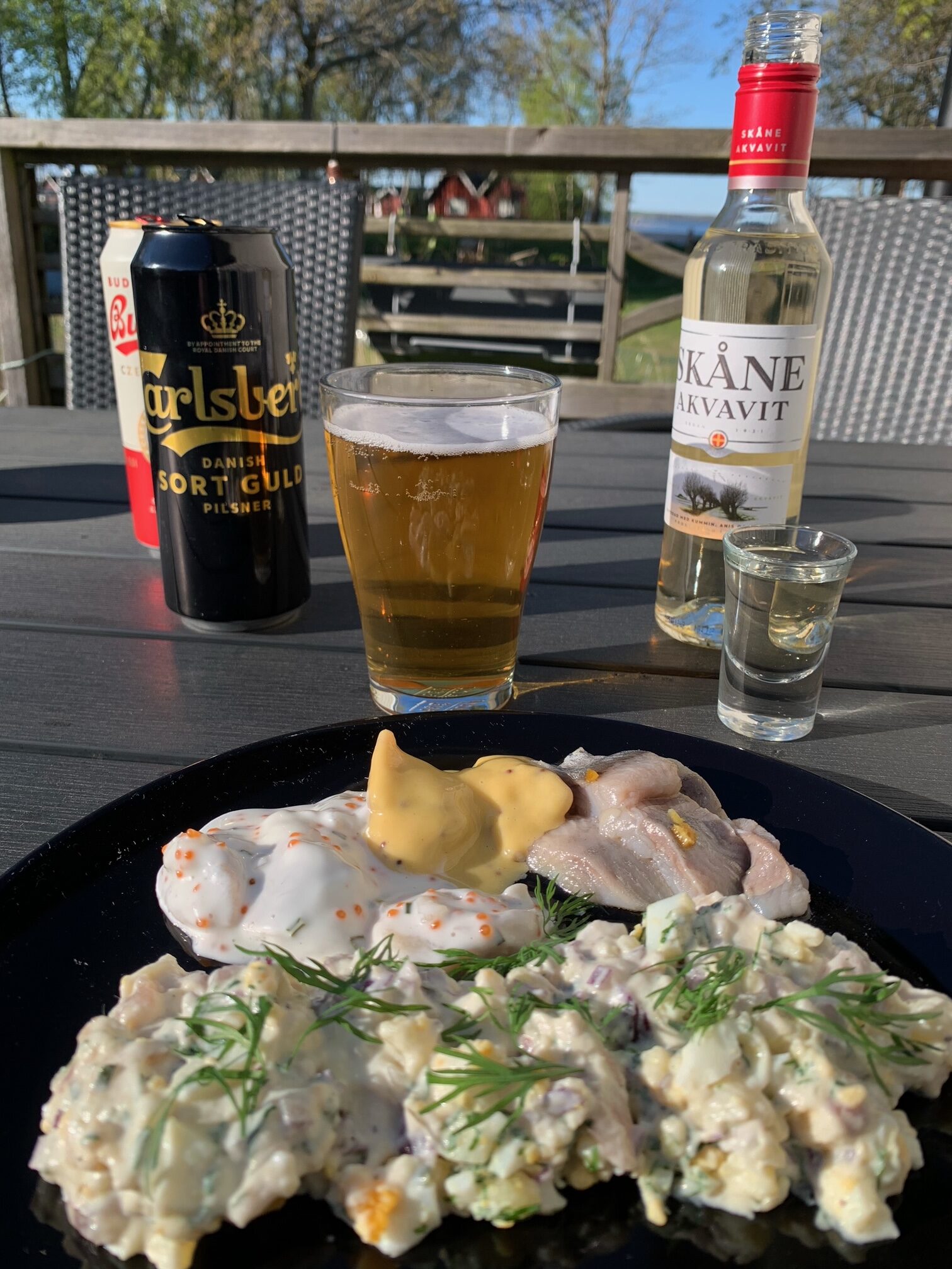 Gubbröra & sill