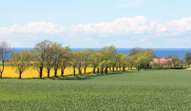 Ölands odlingslandskap