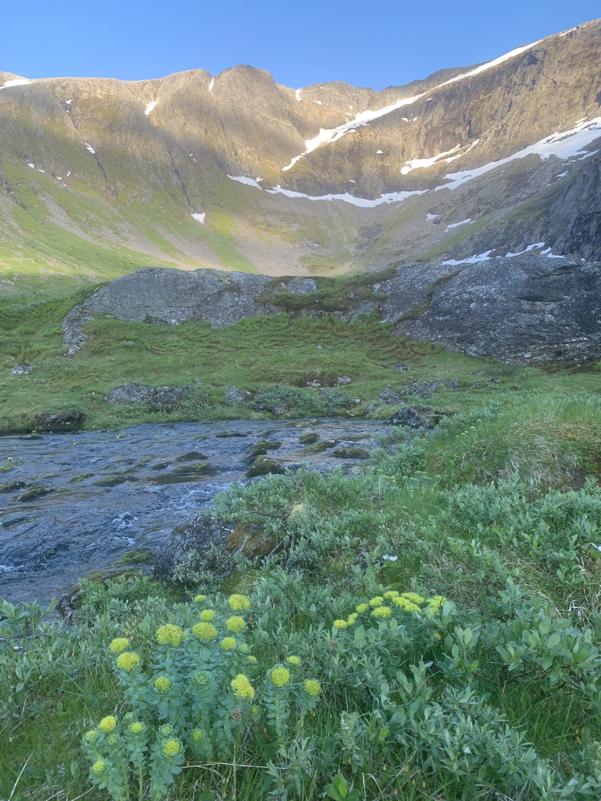 Cold mountain stream