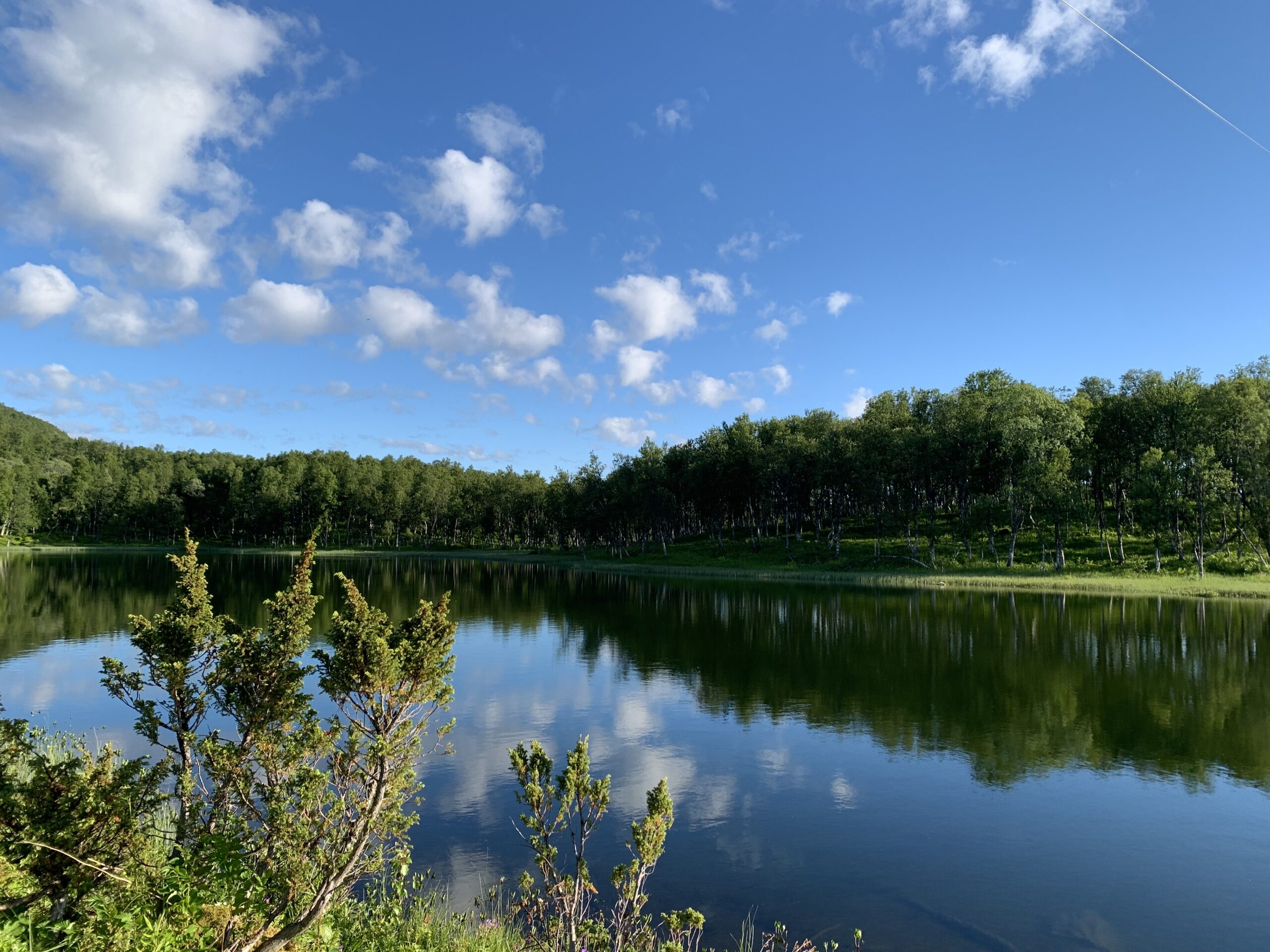 Summer lake
